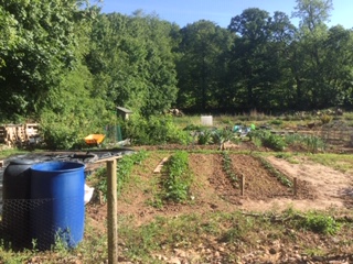 Talaton Allotment